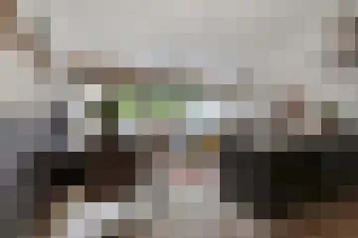 Adriaan van Bergenstraat 242 Breda thumbnail 17