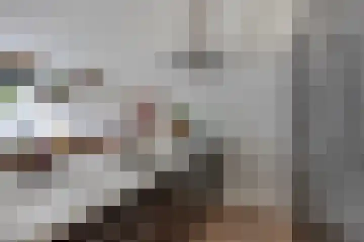 Adriaan van Bergenstraat 242 Breda thumbnail 25