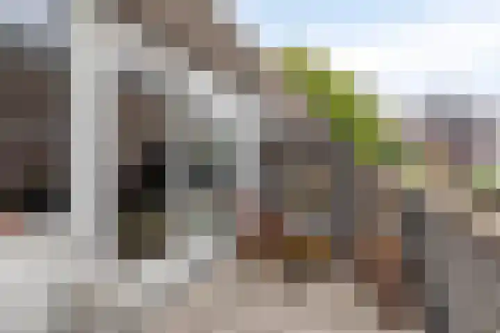 Adriaan van Bergenstraat 242 Breda thumbnail 32