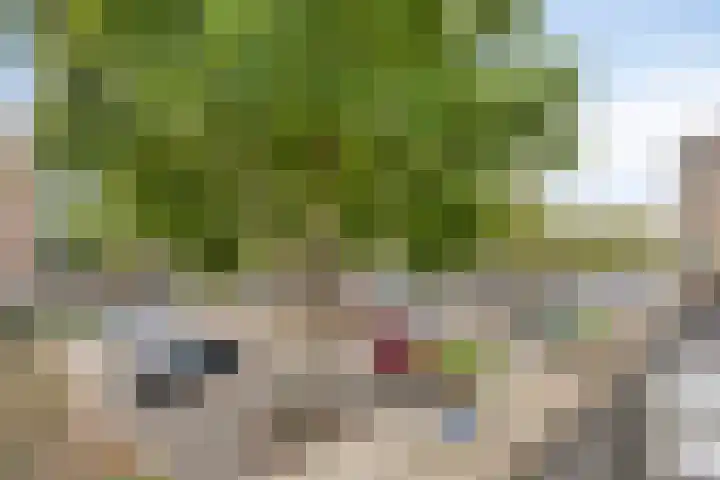 Adriaan van Bergenstraat 242 Breda thumbnail 33