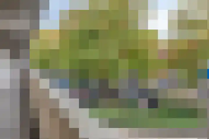 Adriaan van Bergenstraat 242 Breda thumbnail 34