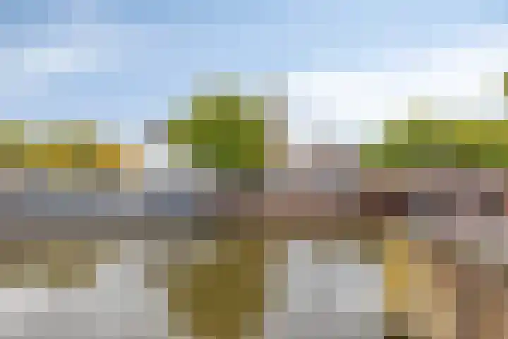 Adriaan van Bergenstraat 242 Breda thumbnail 35