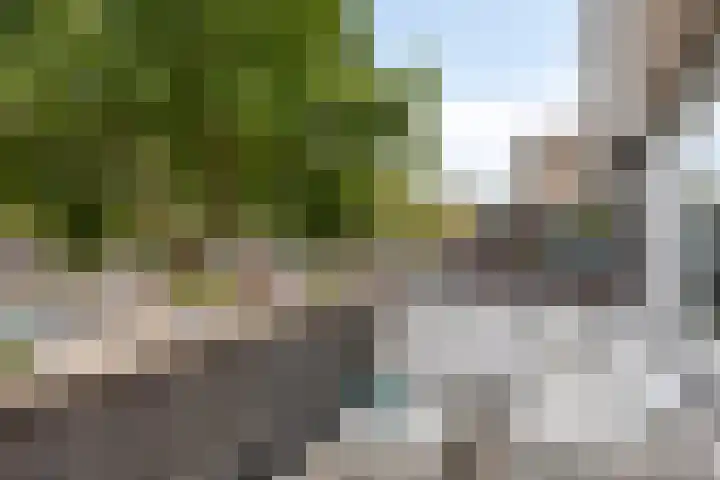 Adriaan van Bergenstraat 242 Breda thumbnail 6