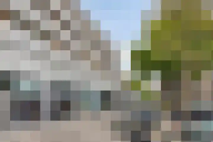 Adriaan van Bergenstraat 242 Breda thumbnail 8