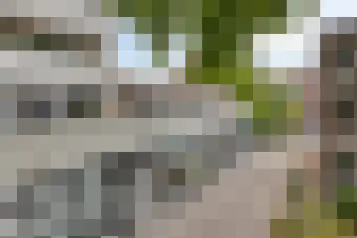Adriaan van Bergenstraat 242 Breda thumbnail 9