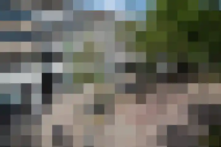 Adriaan van Bergenstraat 308 Breda thumbnail 25