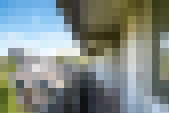 Adriaan van Bergenstraat 308 Breda thumbnail 5