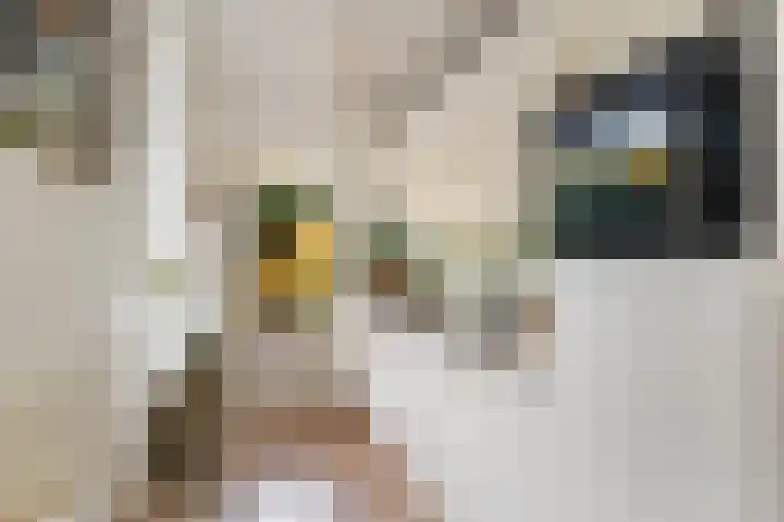 Adriaan van Bergenstraat 31 Utrecht thumbnail 21