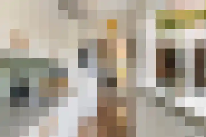 Adriaan van Bergenstraat 31 Utrecht thumbnail 22