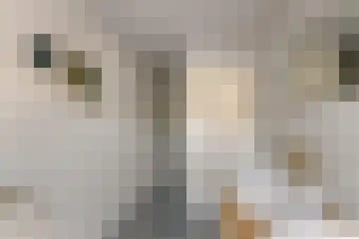 Adriaan van Bergenstraat 31 Utrecht thumbnail 31