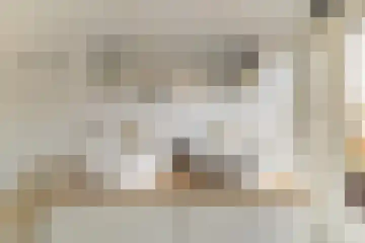 Adriaan van Bergenstraat 31 Utrecht thumbnail 33