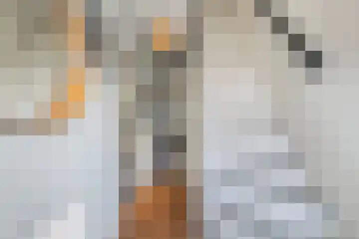 Adriaan van Bergenstraat 31 Utrecht thumbnail 6