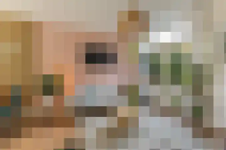 Adriaan van Bergenstraat 31 Utrecht thumbnail 9