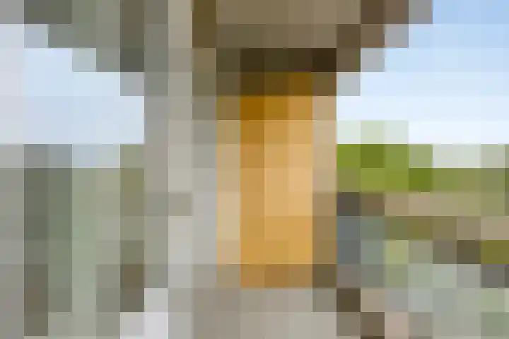 Adriaan van Bergenstraat 356 Breda thumbnail 16