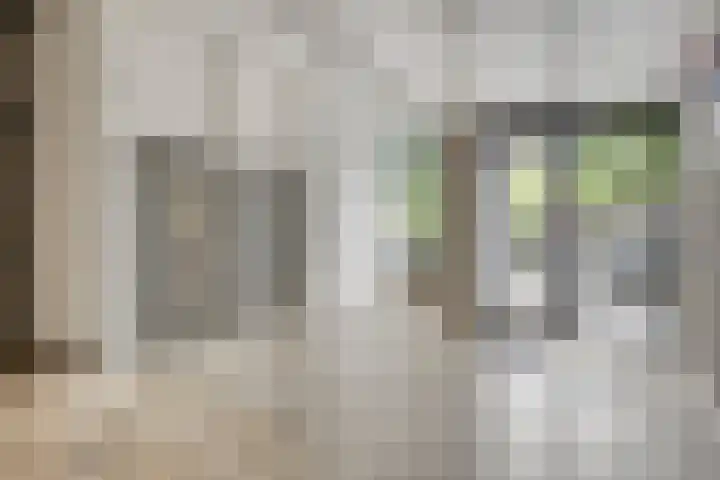 Adriaan van Bergenstraat 356 Breda thumbnail 6