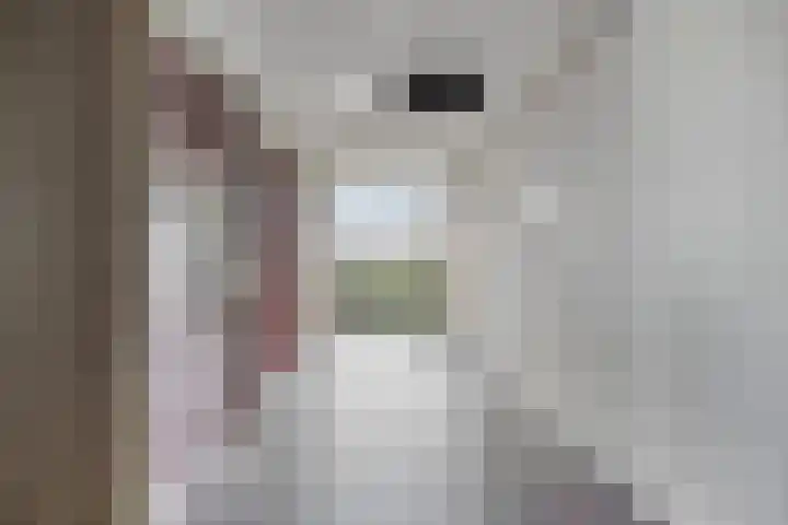 Adriaan van Bergenstraat 356 Breda thumbnail 8