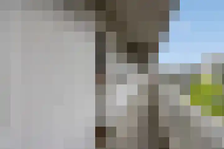 Adriaan van Bergenstraat 356 Breda thumbnail 9