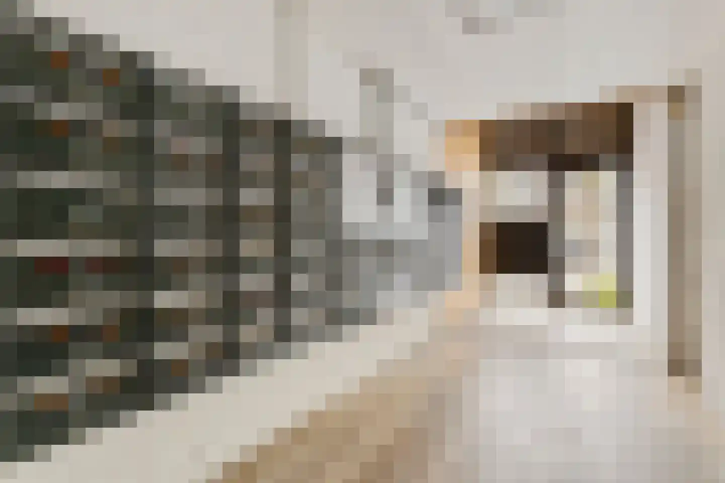 Adriaan van Bergenstraat 366 Breda thumbnail 32
