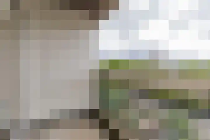 Adriaan van Bergenstraat 370 Breda thumbnail 33