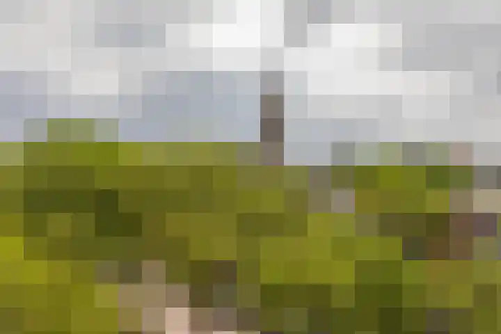 Adriaan van Bergenstraat 370 Breda thumbnail 34