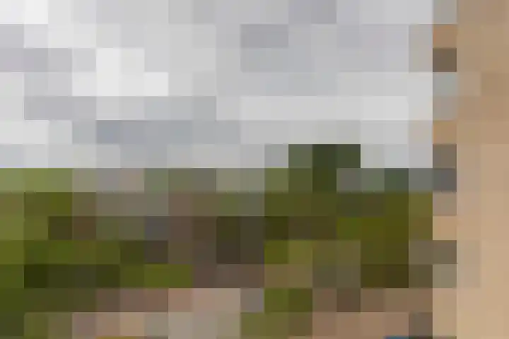 Adriaan van Bergenstraat 370 Breda thumbnail 36