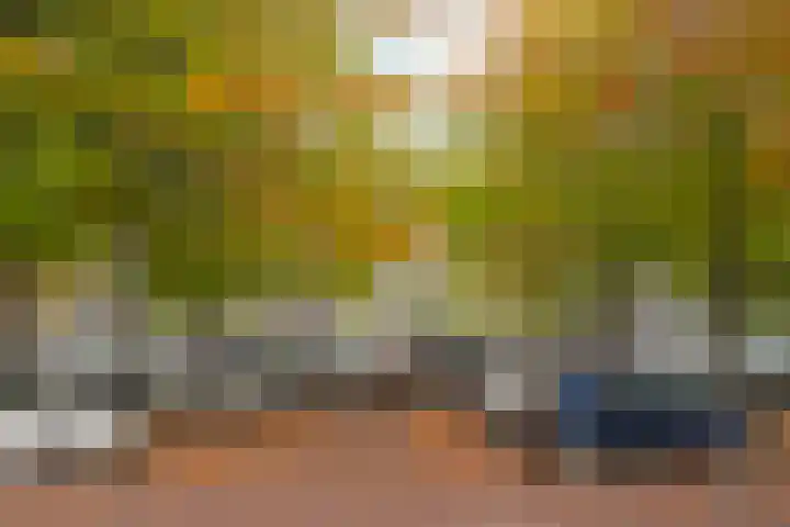Adriaan van Bergenstraat 404 Breda thumbnail 20