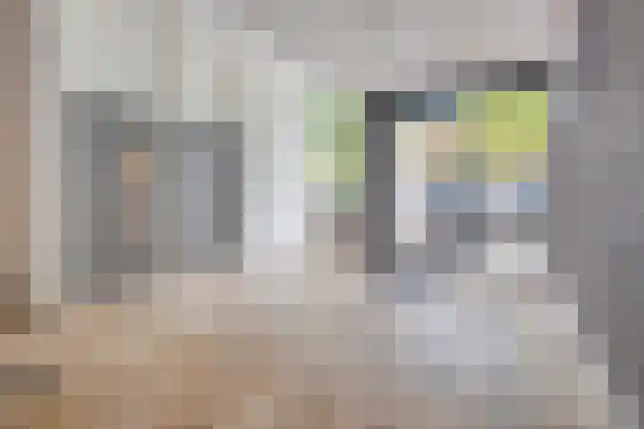 Adriaan van Bergenstraat 404 Breda thumbnail 5