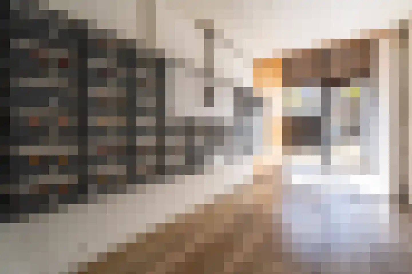 Adriaan van Bergenstraat 418 Breda thumbnail 21