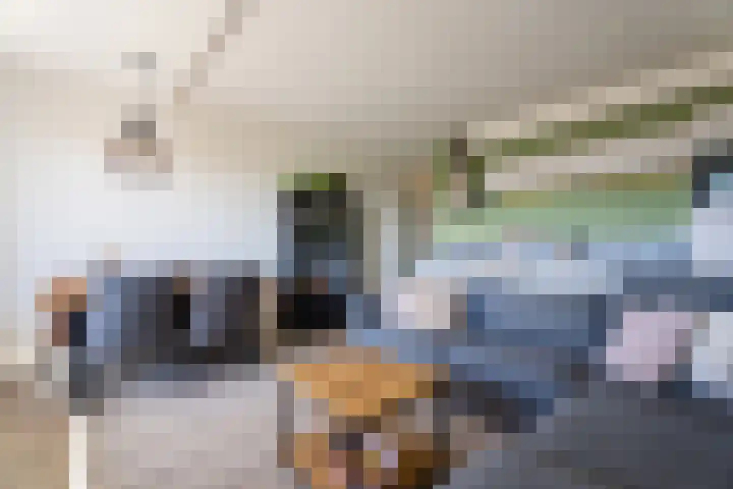 Adriaan van Bergenstraat 418 Breda thumbnail 9