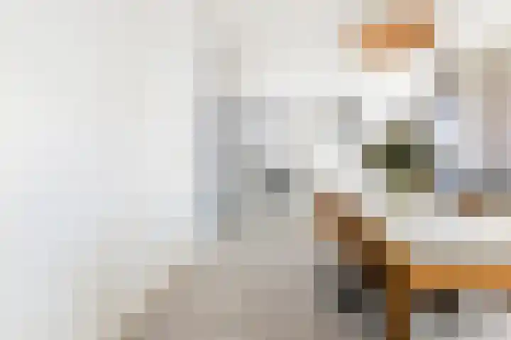 Adriaan van Bergenstraat 46 Breda thumbnail 14
