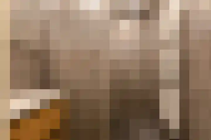 Adriaan van Bergenstraat 46 Breda thumbnail 32