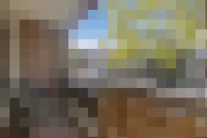 Adriaan van Bergenstraat 46 Breda thumbnail 34