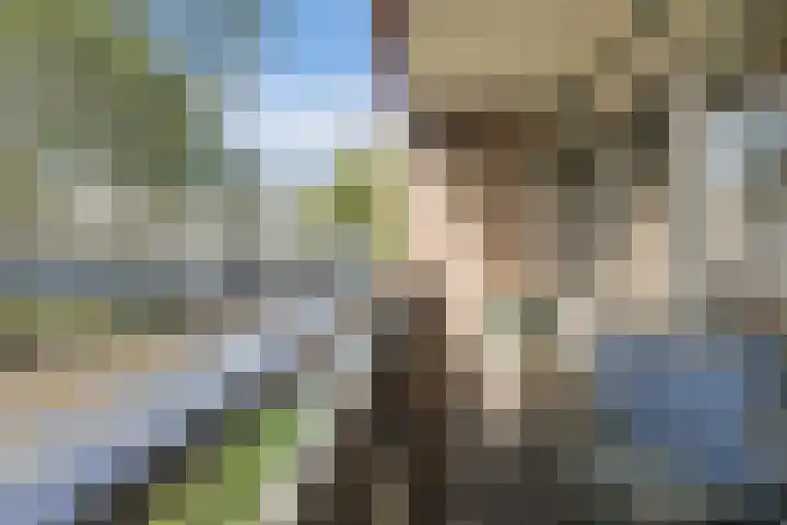 Adriaan van Bergenstraat 46 Breda thumbnail 35