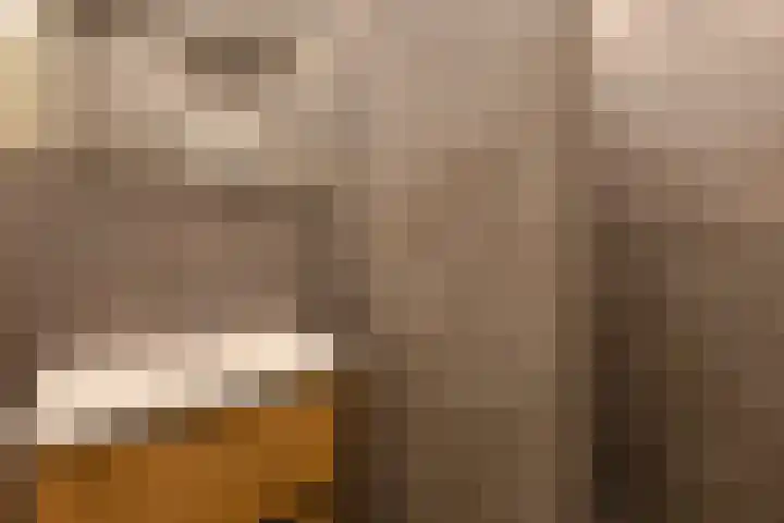 Adriaan van Bergenstraat 46 Breda thumbnail 5
