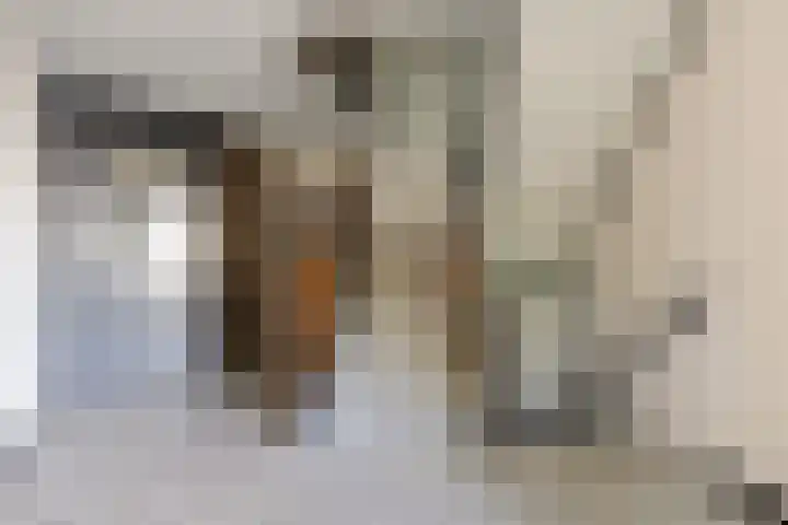 Adriaan van Bergenstraat 46 Breda thumbnail 7