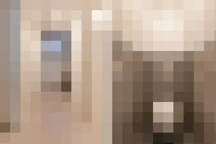 Adriaan van Bergenstraat 46 Breda thumbnail 8