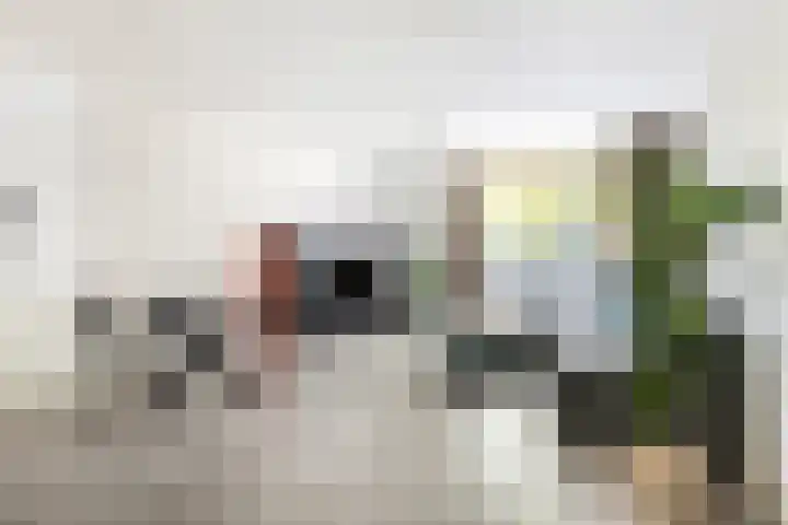 Adriaan van Bergenstraat 46 Breda thumbnail 9