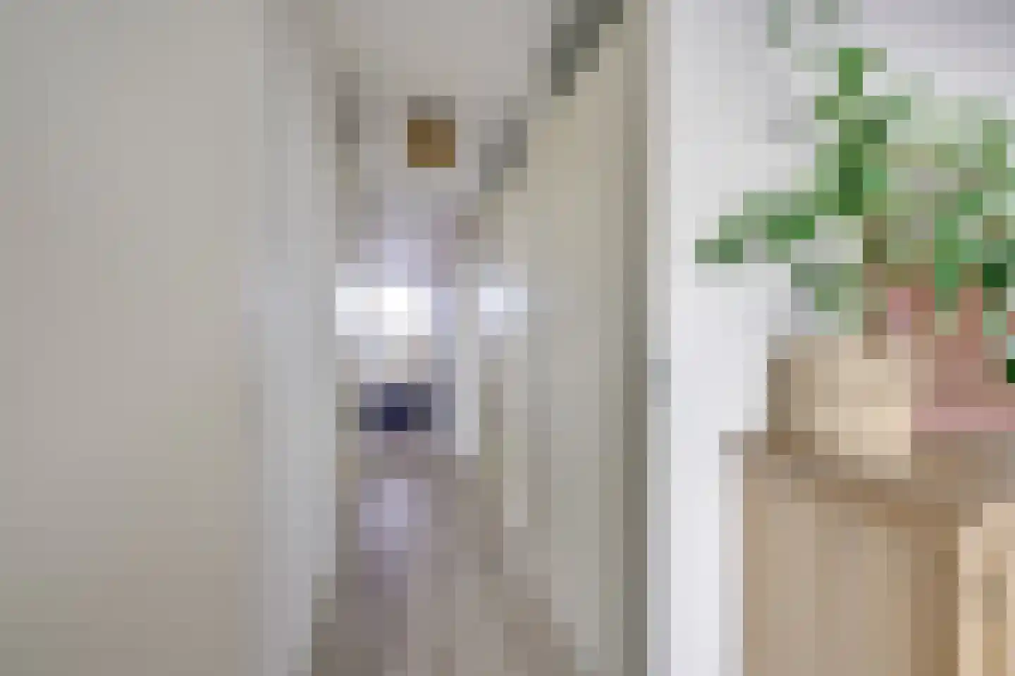 Adriaan van Bergenstraat 60 Utrecht thumbnail 33