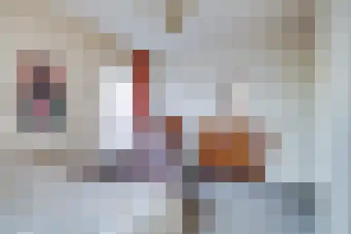 Adriaan van Bergenstraat 62 Utrecht thumbnail 21