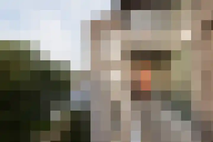 Adriaan van Bergenstraat 62 Utrecht thumbnail 30
