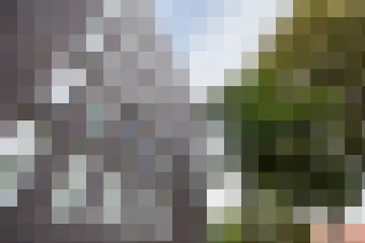 Adriaan van Bergenstraat 62 Utrecht thumbnail 36