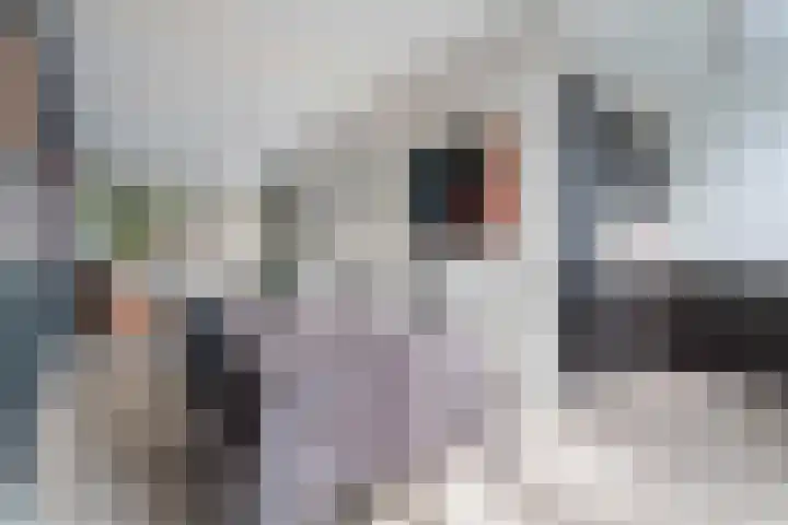 Adriaan van Bergenstraat 7 BS Utrecht thumbnail 10