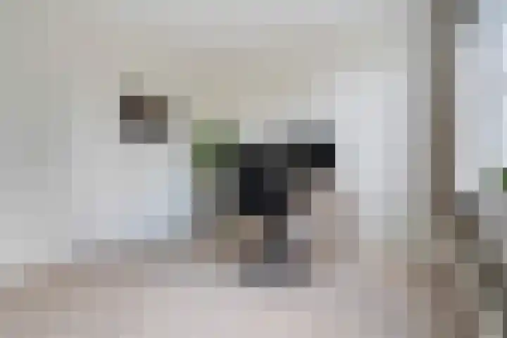 Adriaan van Bergenstraat 7 BS Utrecht thumbnail 25