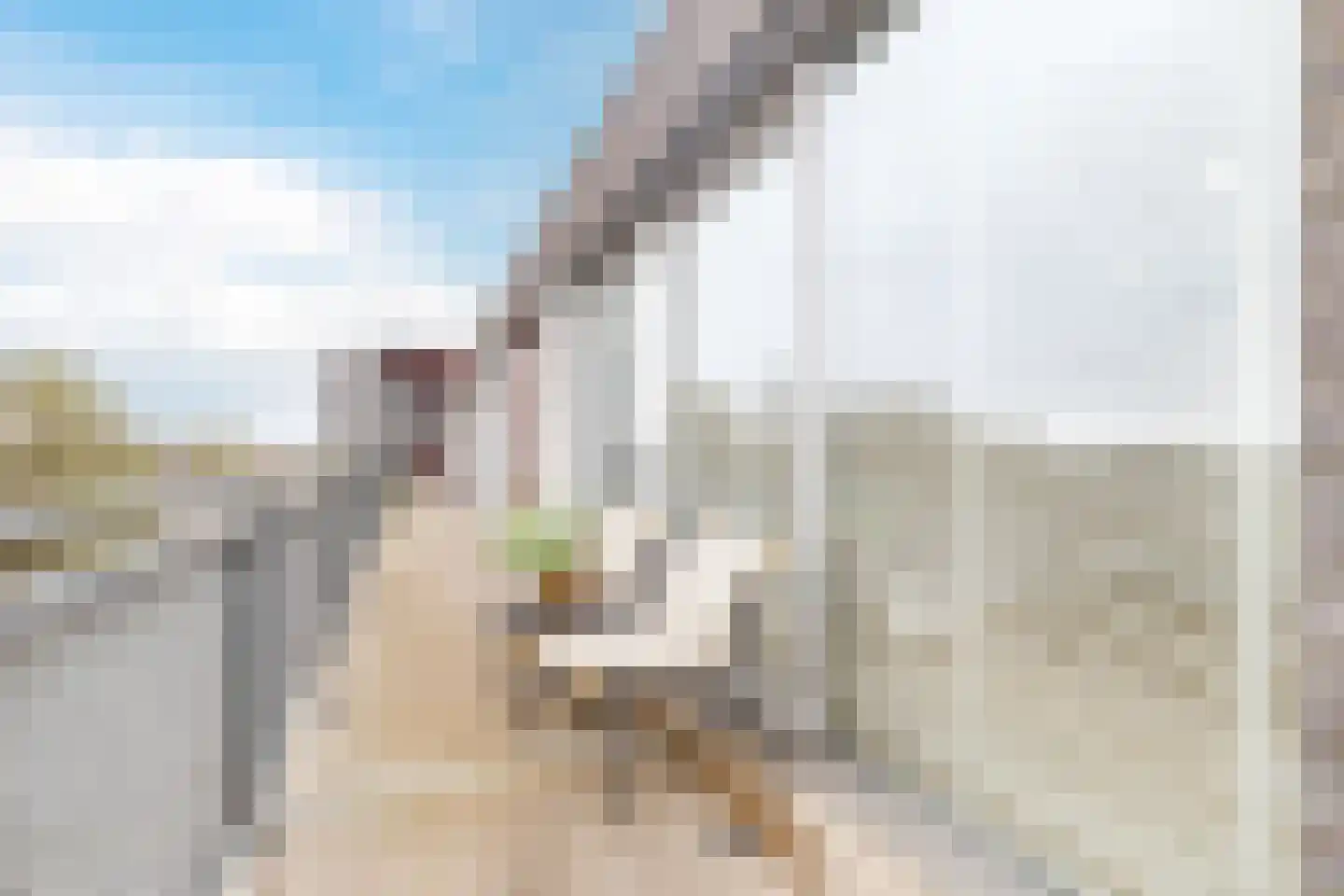 Adriaan van Bergenstraat 72 Utrecht thumbnail 13
