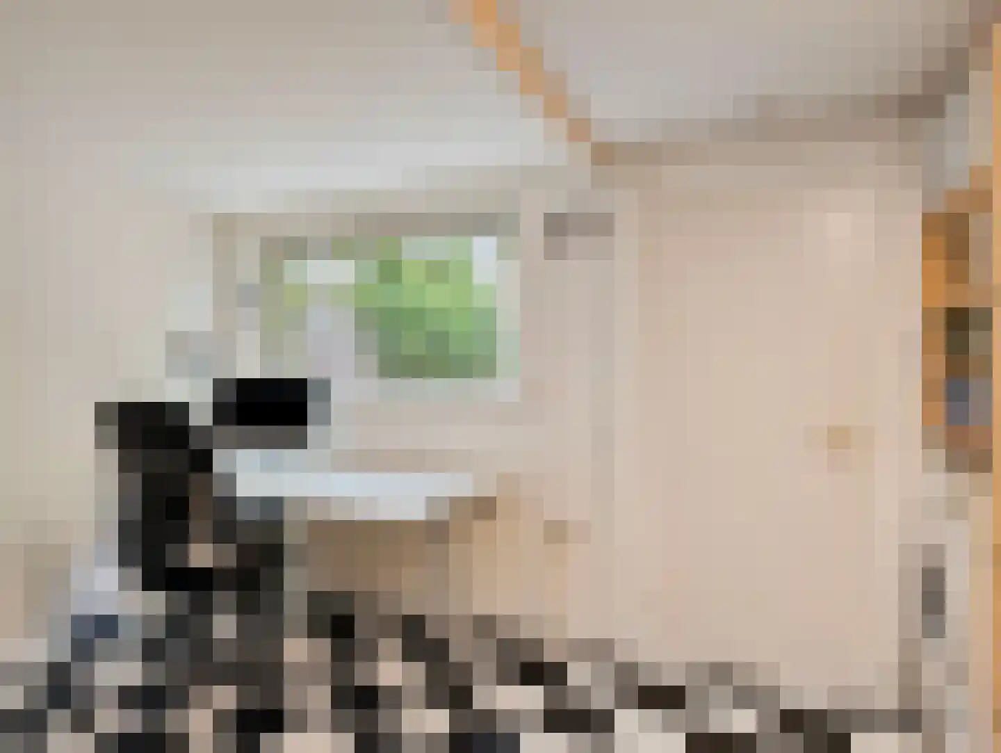 Adriaan van Bergenstraat 9 Utrecht thumbnail 24