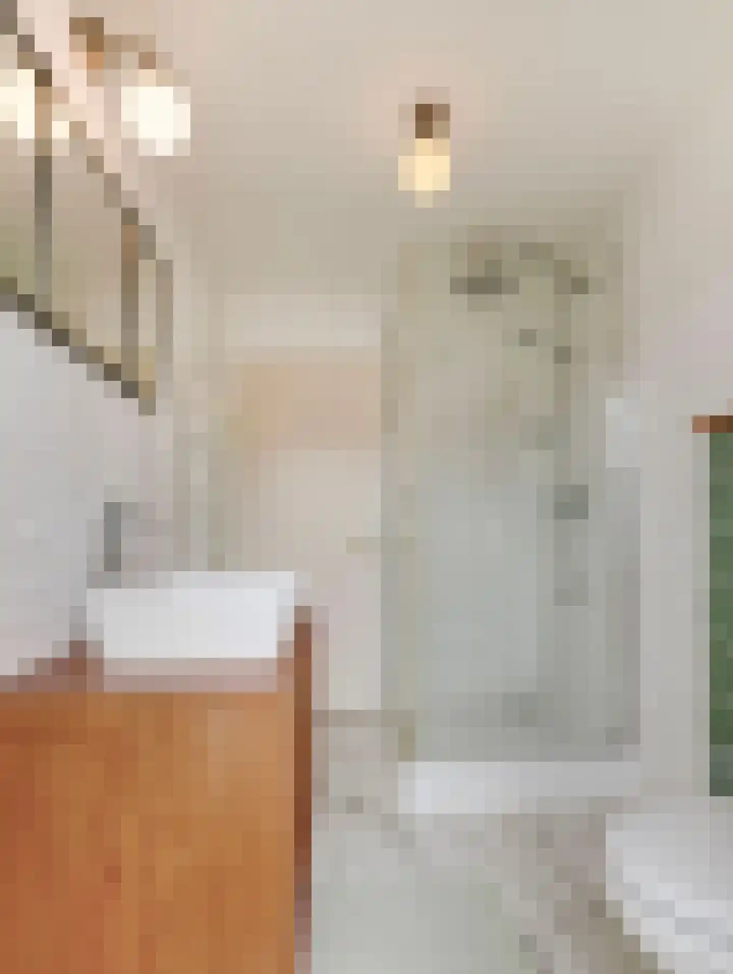 Adriaan van Bergenstraat 9 Utrecht thumbnail 32