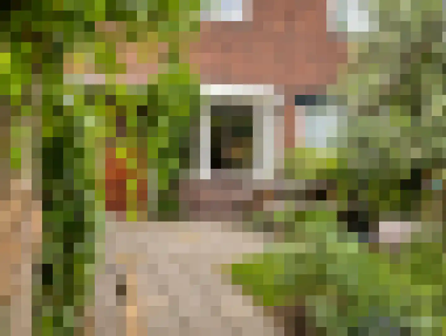 Adriaan van Bergenstraat 9 Utrecht thumbnail 6