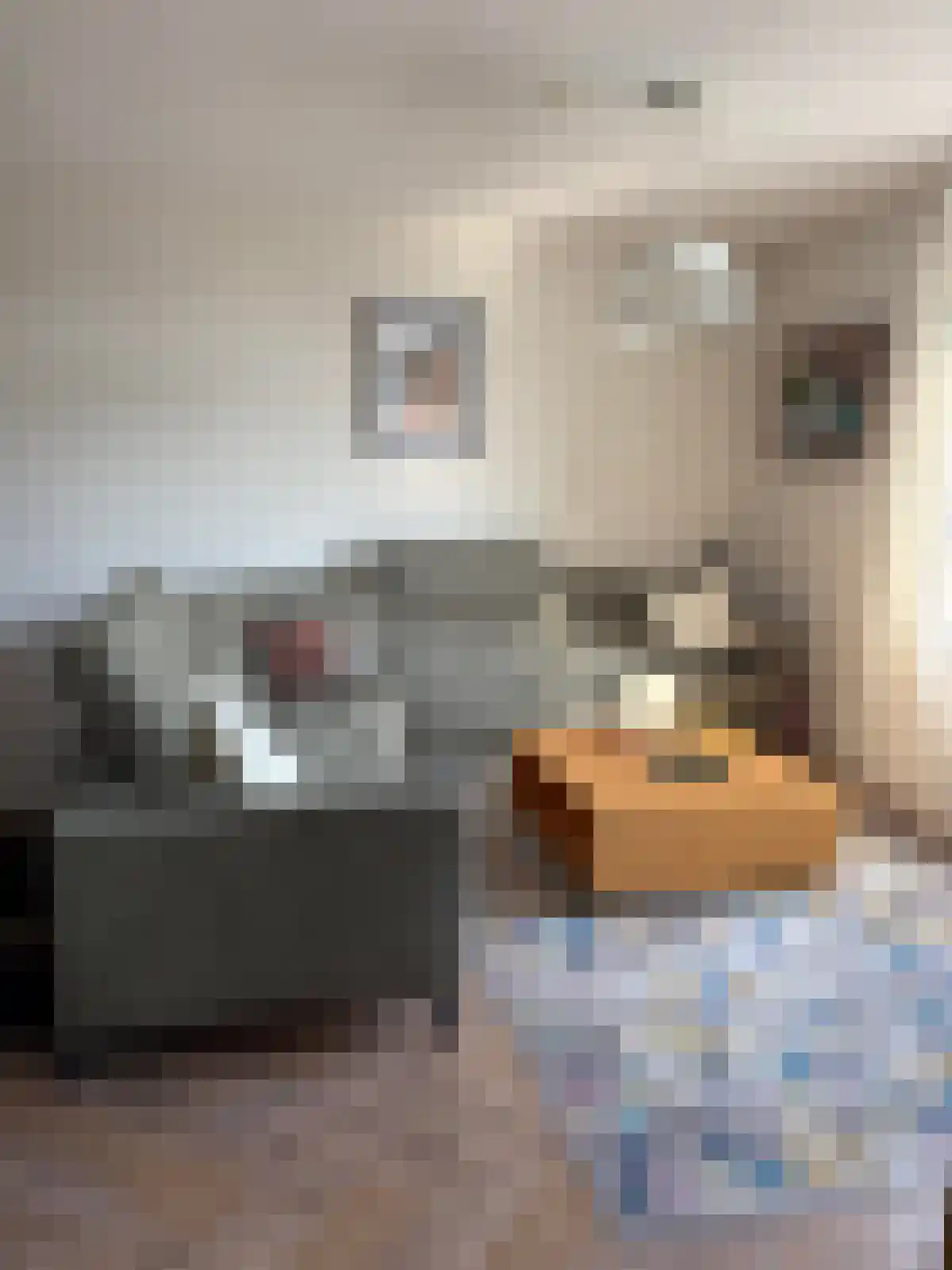 Adriaan van Bergenstraat Breda thumbnail 6
