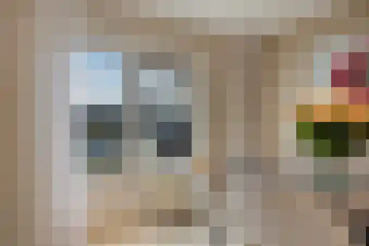 Adriaan van der Kloosterstraat 62 Hoek van Holland thumbnail 17