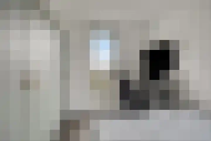 Adriaan van der Kloosterstraat 62 Hoek van Holland thumbnail 36